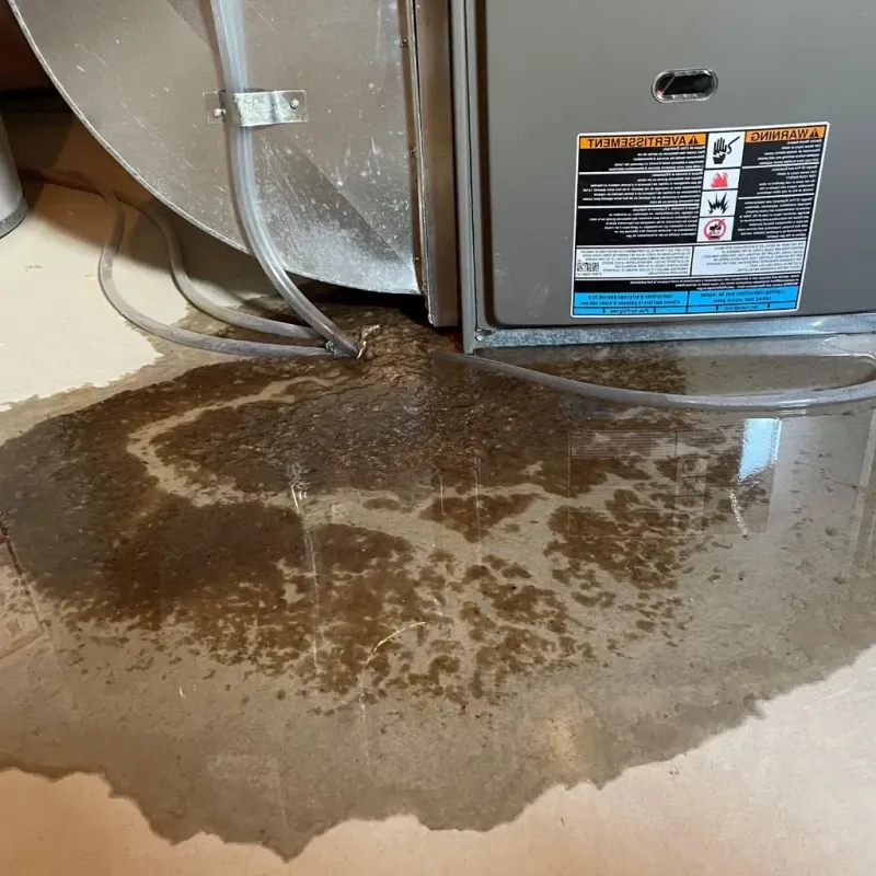 Pipe Burst and Leak Restoration in Ponderosa Park, CO